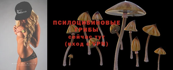 стафф Алзамай